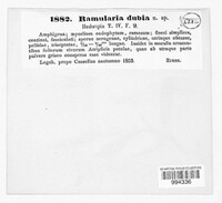 Image Associated With the Occurence